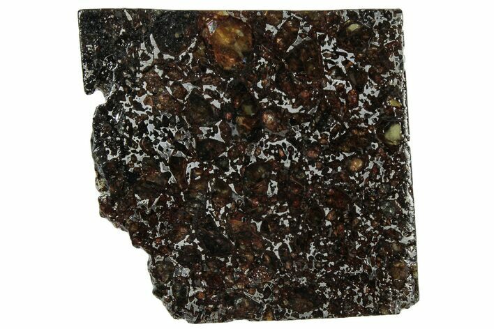 Polished Admire Pallasite Meteorite ( g) Slice - Kansas #307282